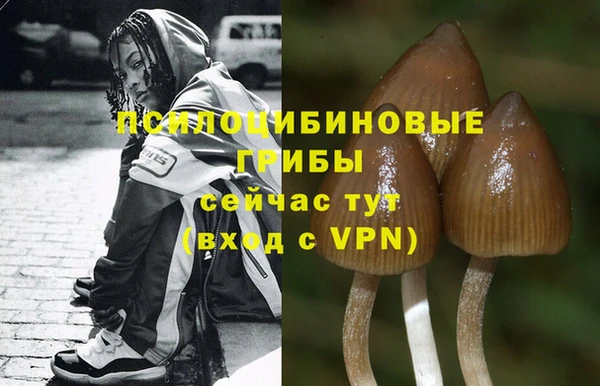 шишки Семилуки