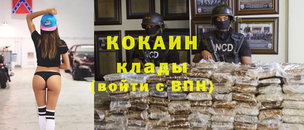 шишки Семилуки