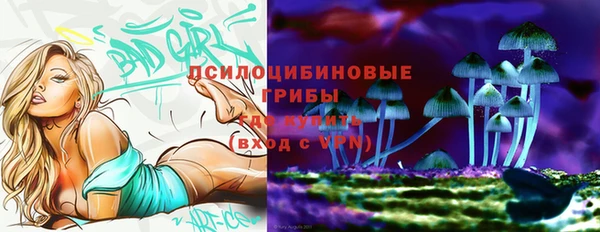 дмт Елабуга